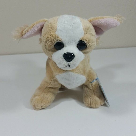 chihuahua webkinz